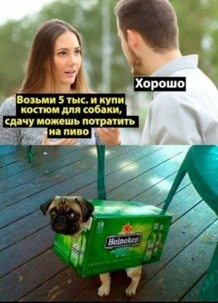 на пиво Возьми 5 тыс и купи костюм для собаки сдачу ОМЕШЬ ПОТРВТИТЬ