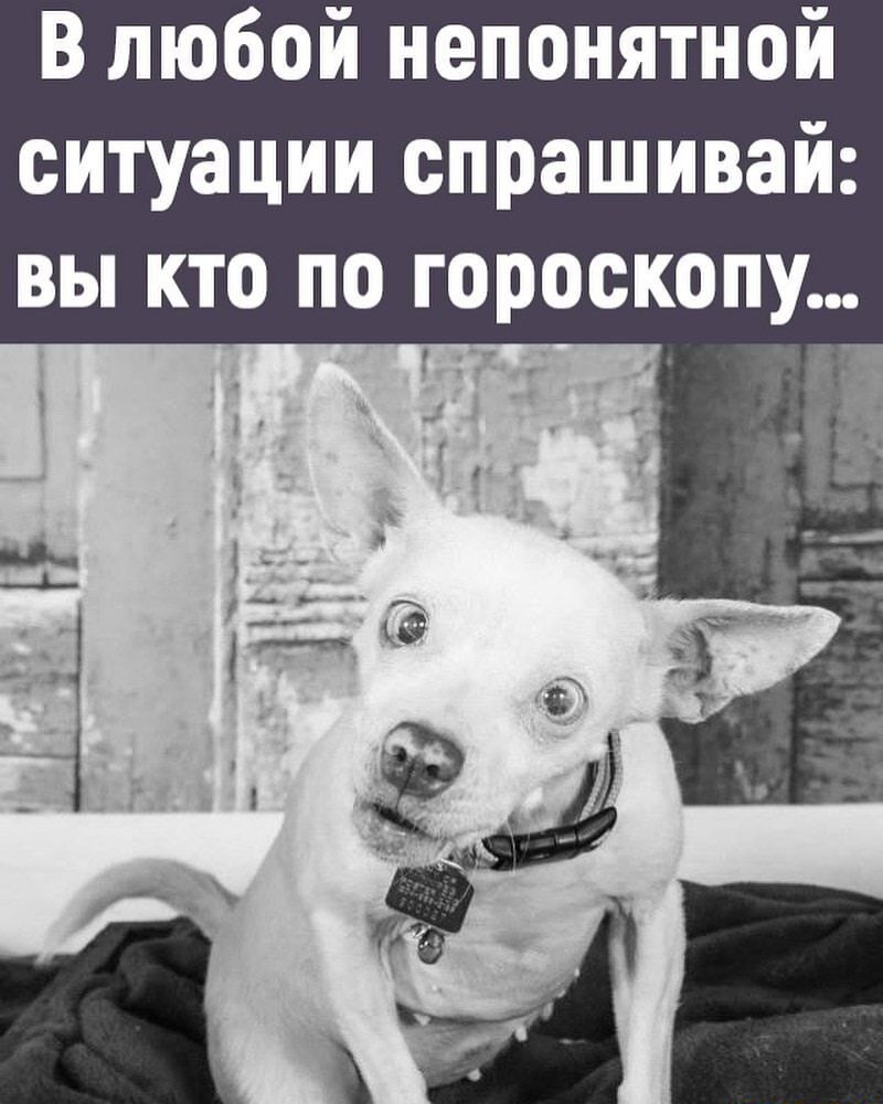В любой непонятной ситуации спрашивай вы кто по гороскопу