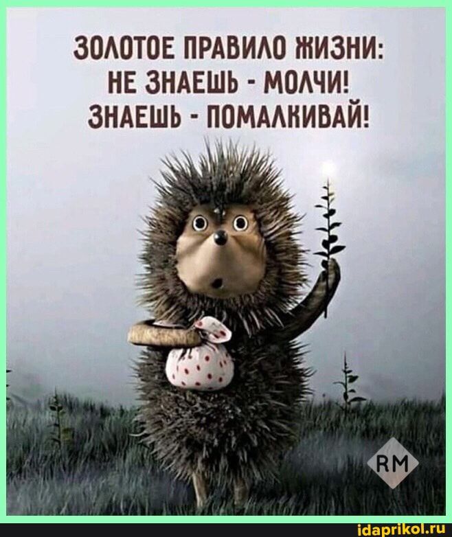 ЗОАОТОЕ ПРАВИАО ЖИЗНИ НЕ ЗНАЕШЬ МОАЧЩ ЗНАЕШЬ ПОМААНИВАИ