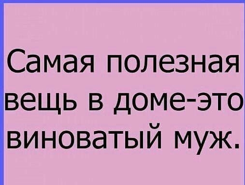 Самая полезная вещь в домеэто виноватый муж