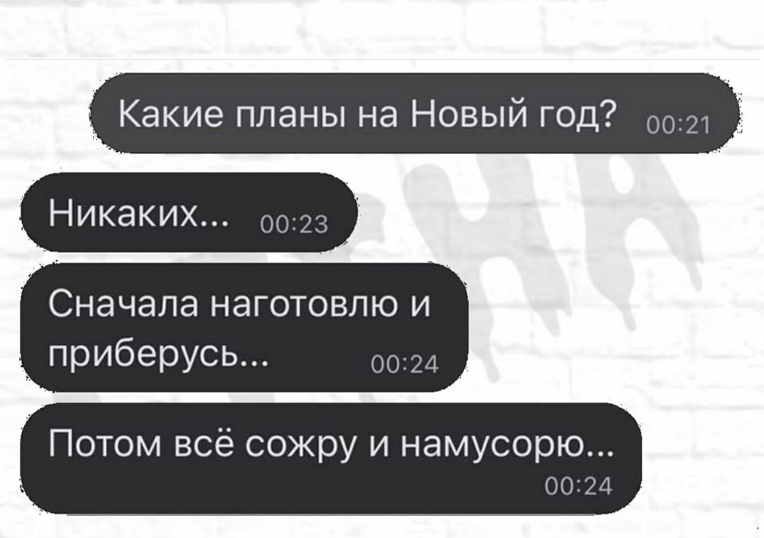 Какие планы на Новый год 0021 Никаких 0023 Сначала наготовлю и _ приберусь 0024 Потом всё сожру и намусорю 00124