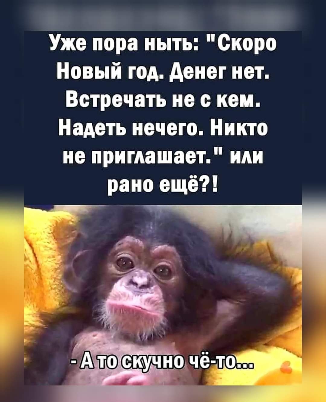 Уже пора ныть Скоро Новый год денег нет Ветречать не с кем Надеть нечего Никто не приглашает или рано ещё