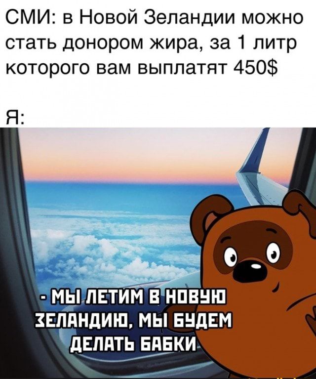 СМИ в Новой Зеландии можно стать донором жира за 1 литр которого вам выплатят 450 Я звпдндиш мы видим Ъвпдть ндвки