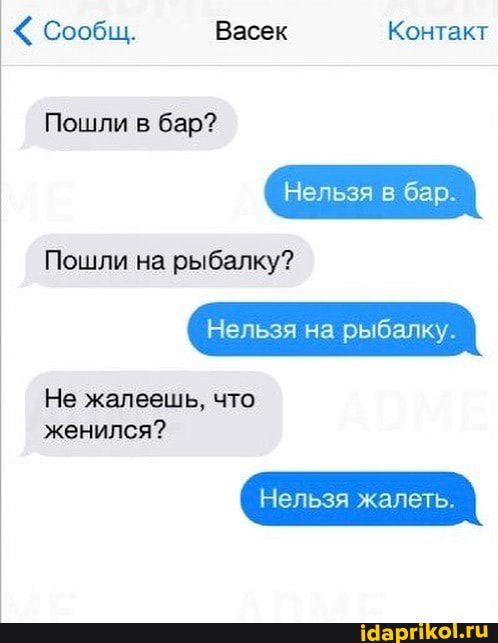 Сообщ Васек Контакт Пошли в бар Нельзя в бар Пошли на рыбалку Нельзя на рыбапк Не жалеешь что женился Нельзя апеть