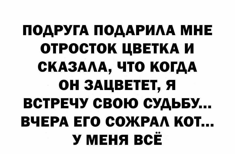 ПОДРУГА подАРИАА МНЕ отросток цввткд и СКАЗААА что когдА он ЗАЦВЕТЕТ я встречу свою судьву ВЧЕРА вго соЖРАА кот У МЕНЯ всЁ