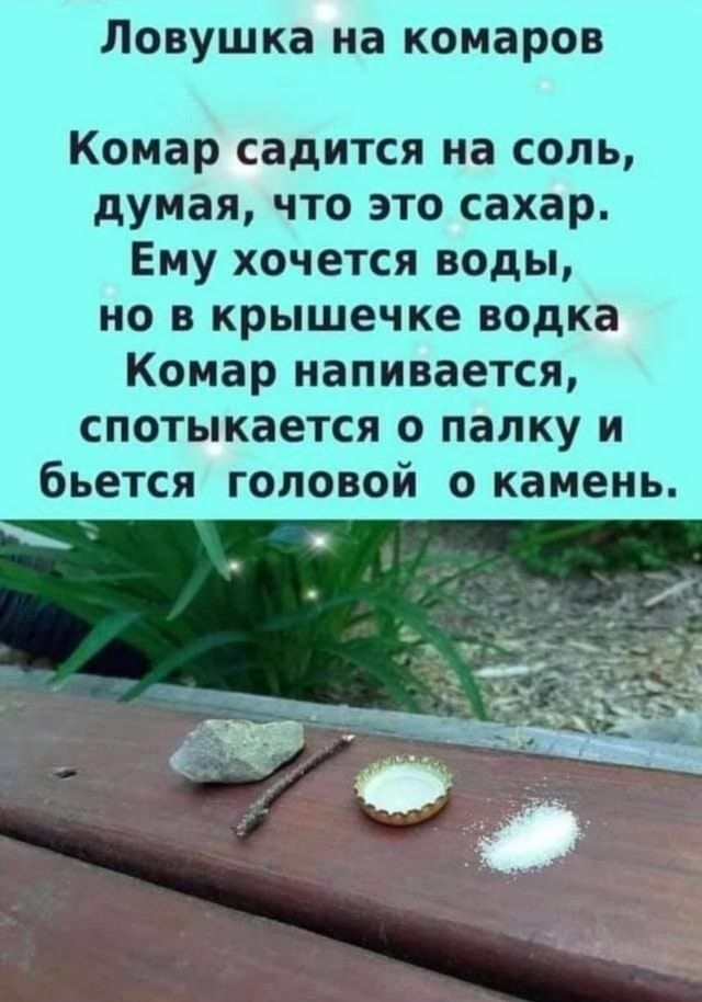 Ловушка на комаров Комар садится на соль думая что это сахар Ему хочется воды но в крышечке водка Комар напивается спотыкается о папку и бьется головой о камень
