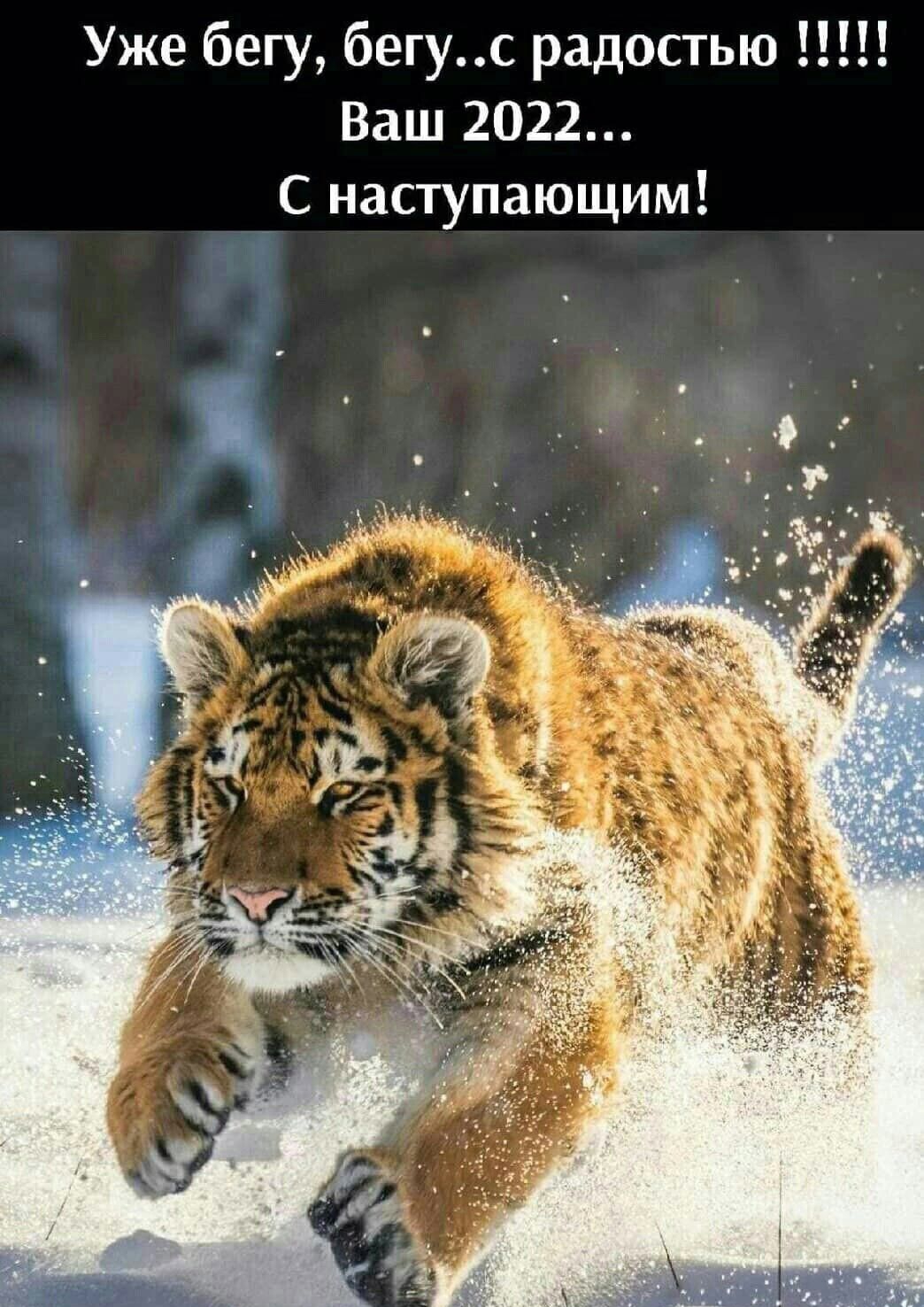 Уже бегу бегус радостью Ваш 2022 _С наступающим