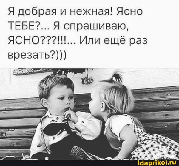 Я добрая и нежная Ясно ТЕБЕ Я спрашиваю ЯСНО Или ещё раз врезать