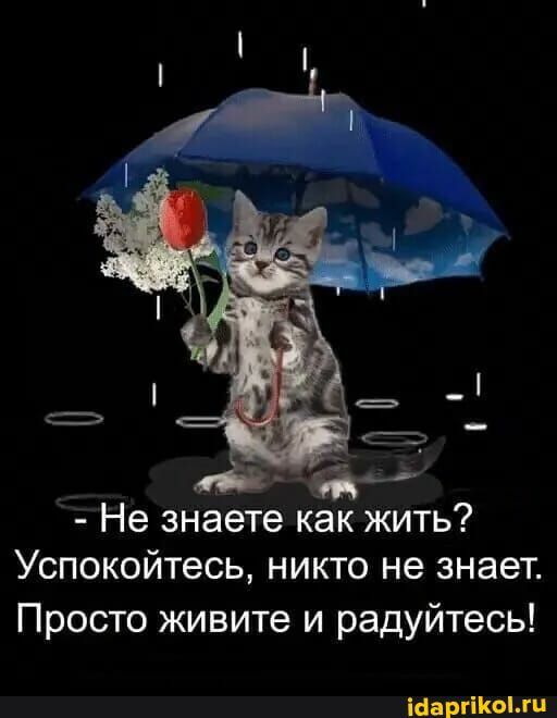 таи Не знаете как жить Успокойтесь никто не знает Просто живите и радуйтесь Шаргікыщи