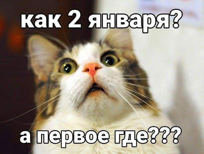 Щот