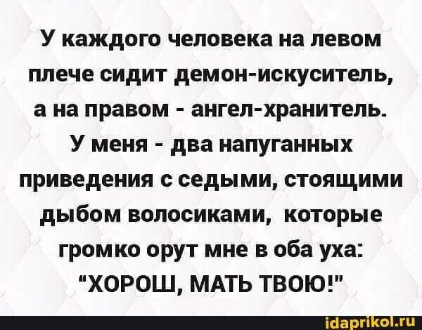 У каждого человека на левом плече сидит демон искуситель а на правом ангел хранитель У меня два напуганных приведения с седыми стоящими дыбом волосиками которые громко орут мне в оба уха ХОРОШ МАТЬ ТВОЮ