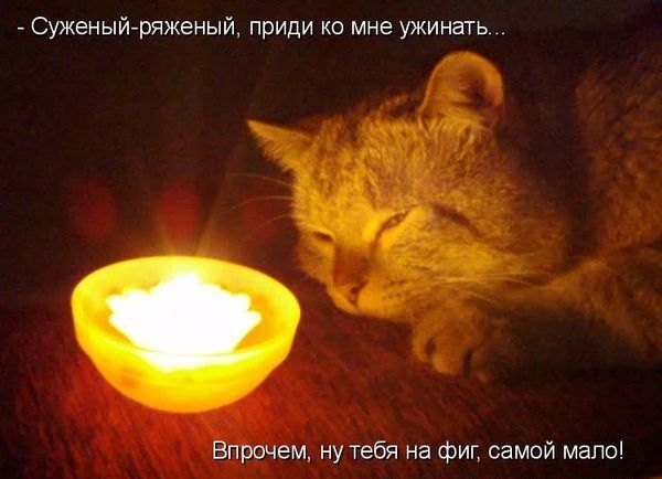 Суженыйгряженый приди ко мне ужинать Впрочем ну тебя на фиг самой мало