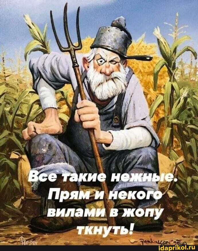 виламц жбіту ткнутьій _