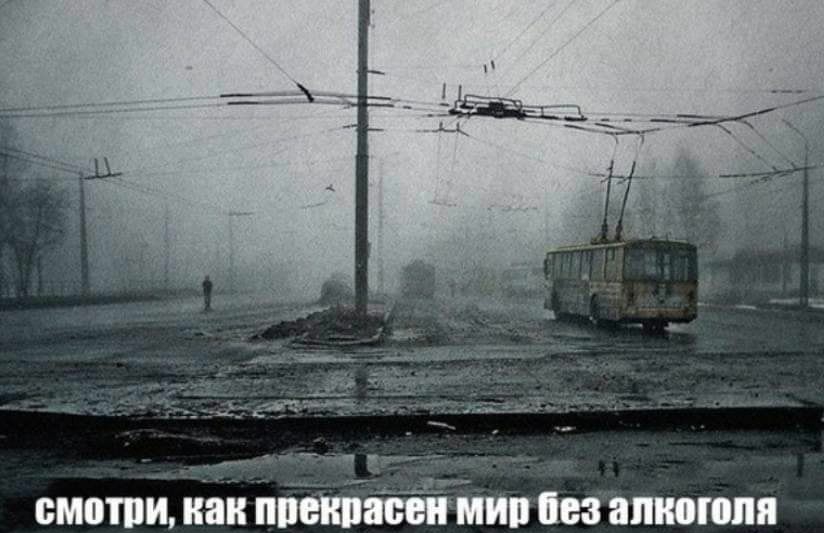Смотри, как прекрасен мир без элкоголя