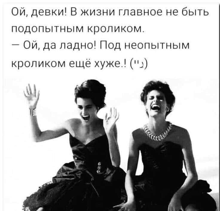 Ой, девки! В жизни главное не быть подопытным кроликом  ой, да ладно! Под неопытным кроликом ещё хуже.! '