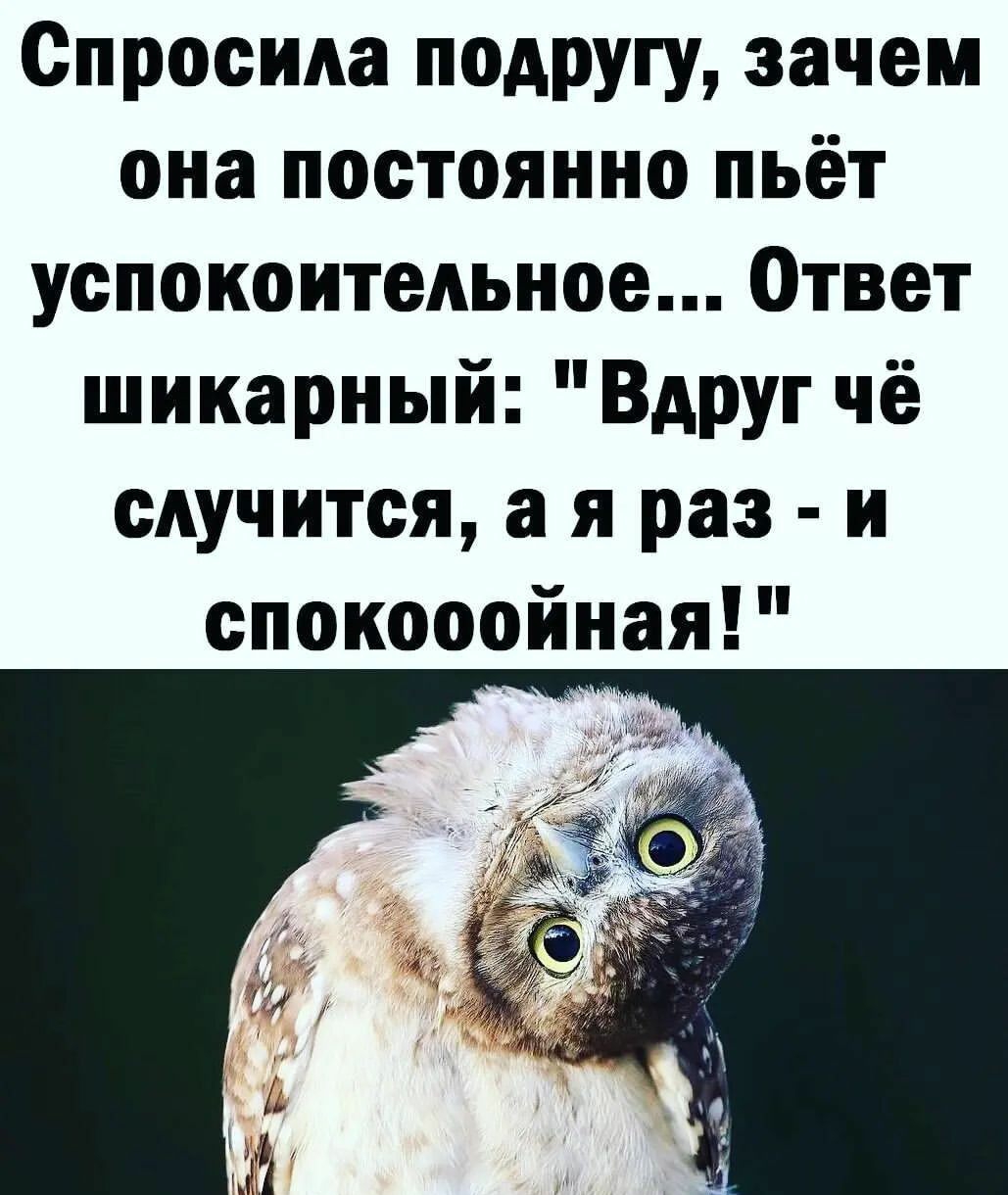 Спросила подругу зачем она постоянно пьёт успокоительное Ответ шикарный Вдруг чё сдучитоя а я раз и спокооойная