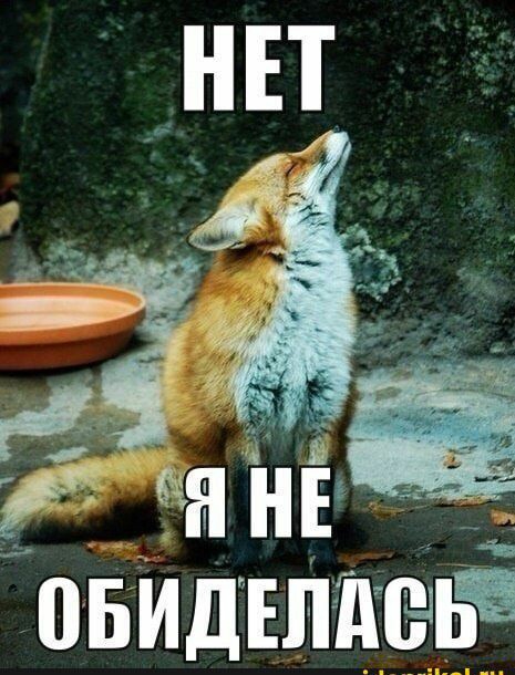 шаидЕпшеіьЁ