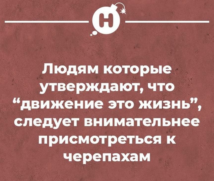 Людям которые утверждают что движение это жизнь следует внимательнее присмотреться к черепахам Нитогіаітц