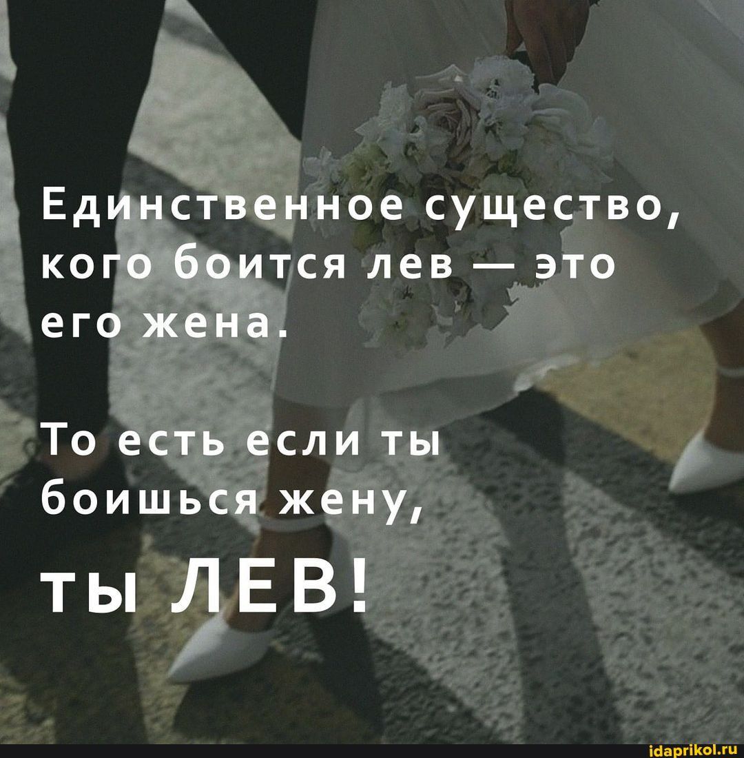 Ное сущеслво тся лев эёго іааргіКоіхц