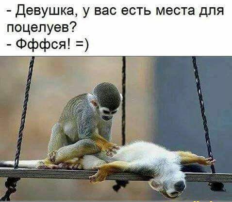 Девушка у вас есть места для п целуев Фффся