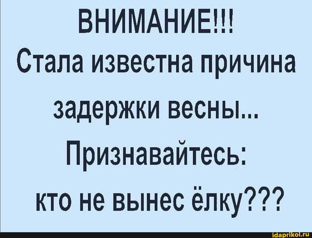ВНИМАНИЕ Стала известна причина задержки весны Признавайтесь кто не вынес ёлку