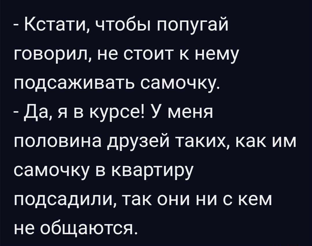Кстати чтобы попугай говорил не стоит к нему подсаживать самочку Дая в курсе У меня половина друзей таких как им самочку в квартиру подсадили так они ни с кем не общаются