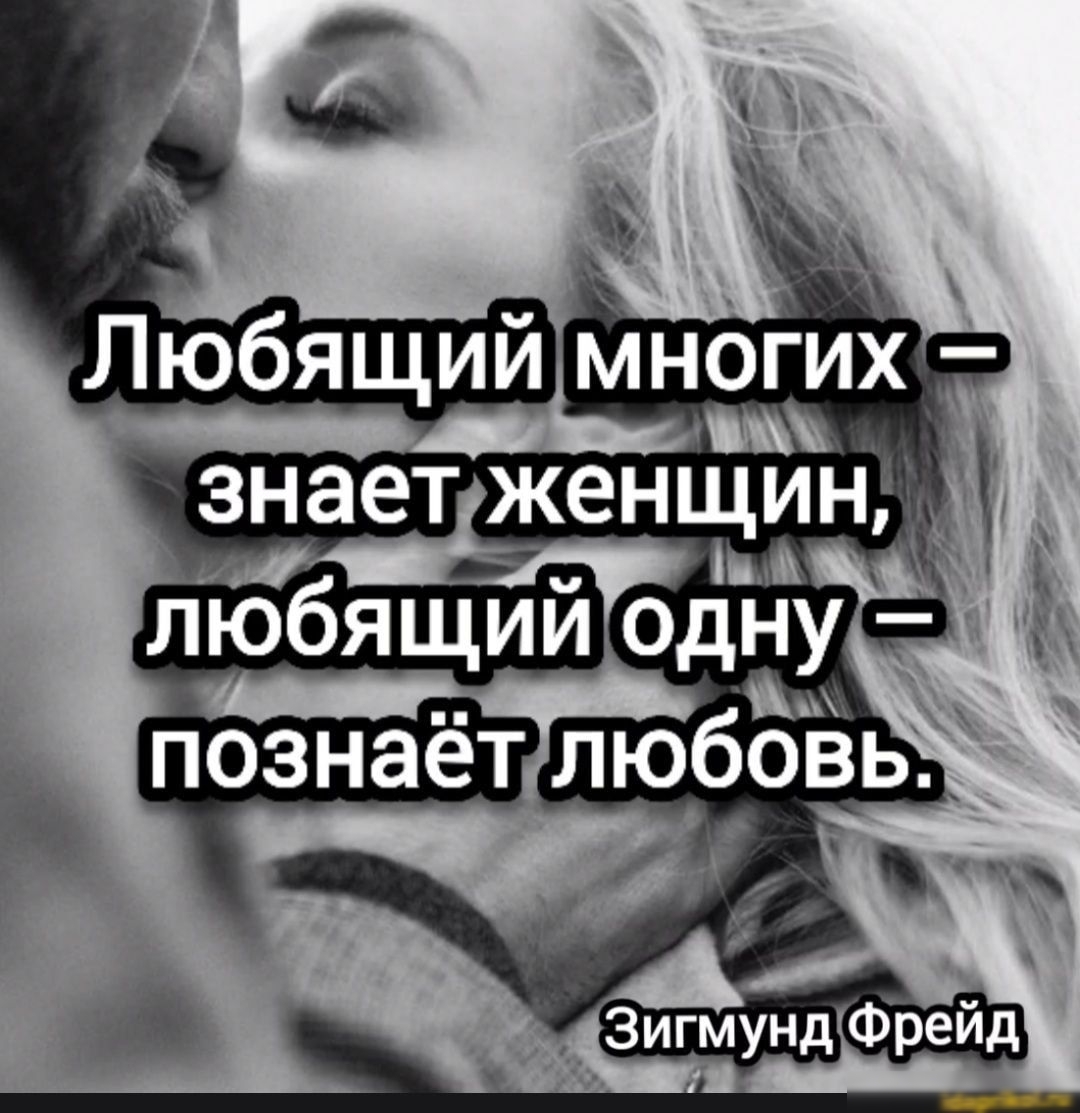Любящий МногиХ знает жен любящй о щингъ д на а