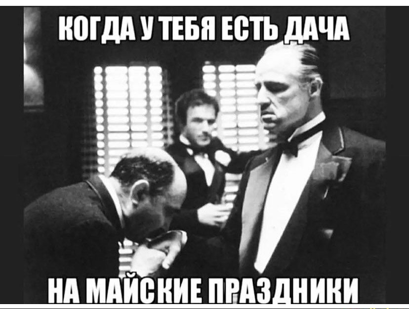 МДА ТЕБЯ ШП ддЧА