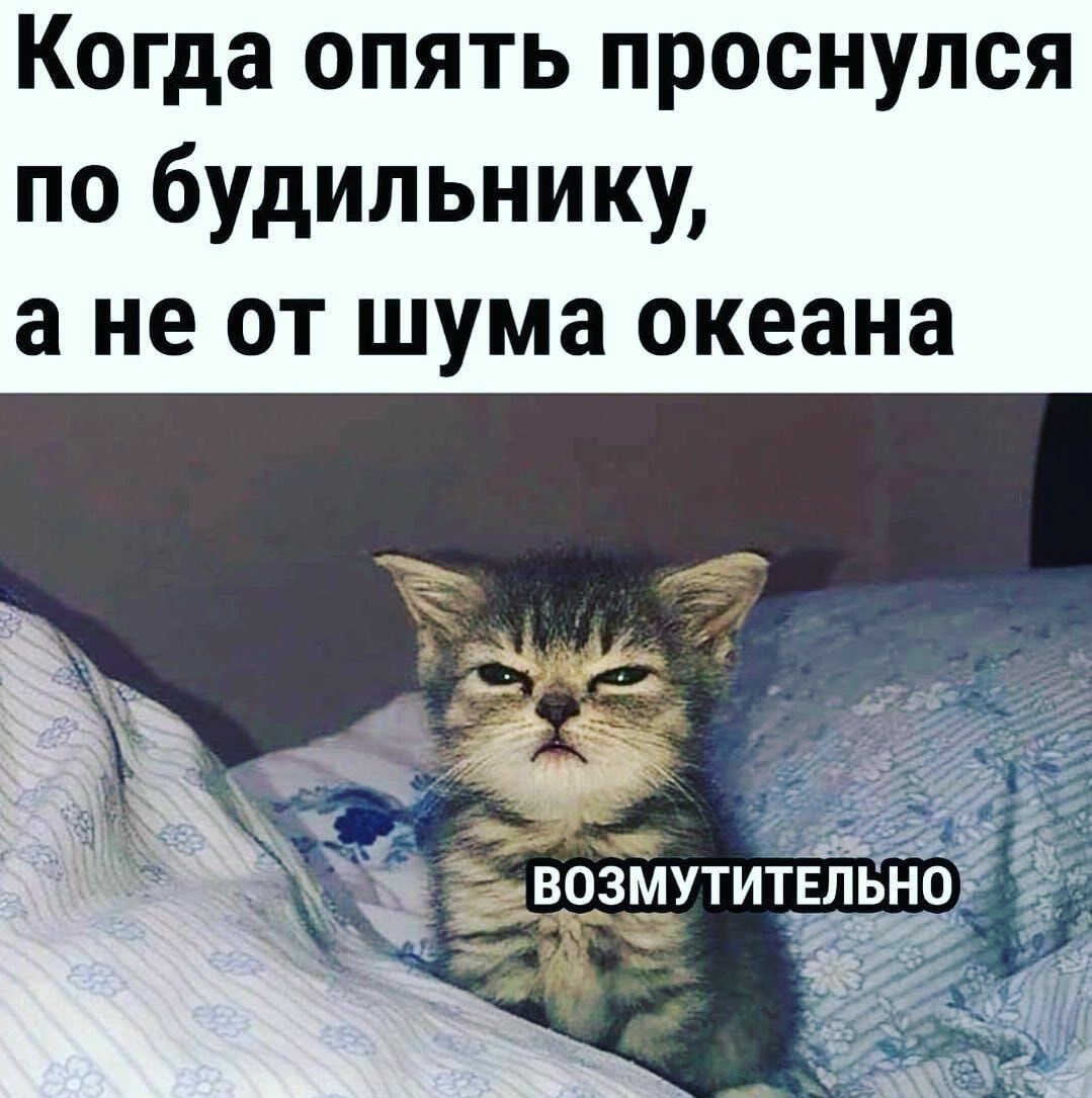 Я с л у Н с 0 р П Ь Т Я П 0 а ш 0 к а Н а е чиж к иа НМ ьш Л ИТ до у бе ОН па