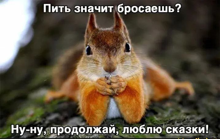 Пить значитчбросаешь Ну нугпродо жа юб_лю ска_зки