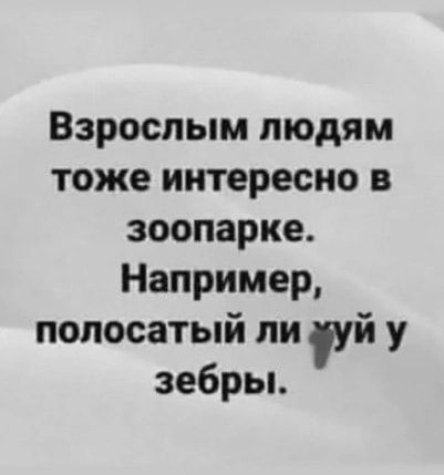 Взрослым людям тоже интересно в зоопарке Например полосатый ли уй у зебры