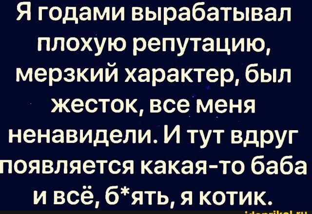 Я годами вырабатывал плохую репутацию мерзкий характер был жесток все меня ненавидели И тут вдруг появляется какая то баба ивсё бять я коти