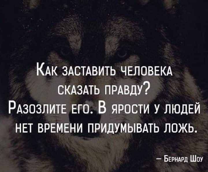 КАк ЗАСТАВИТЬ ЧЕЛОВЕКА СКАЗАТЬ ПРАВДУ РАзозлитЕ Его В яРОСТИ У ЛЮДЕЙ НЕТ ВРЕМЕНИ ПРИДУМЫВАТЬ ЛОЖЬ БеРнаед Шоу