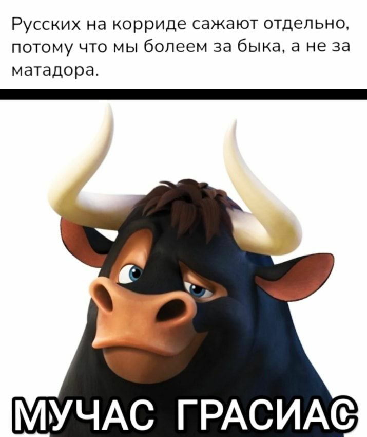Русских на корриде сажают отдельно потому что мы болеем за быка а не за матадора