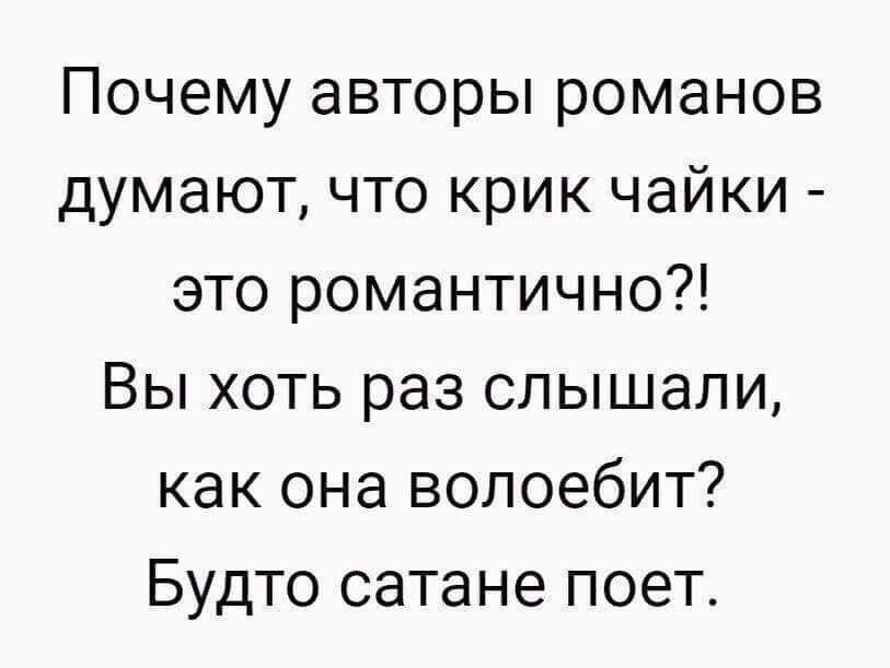 Почему авторы романов думают что крик чайки это романтично Вы хоть раз слышали как она волоебит Будто сатане поет