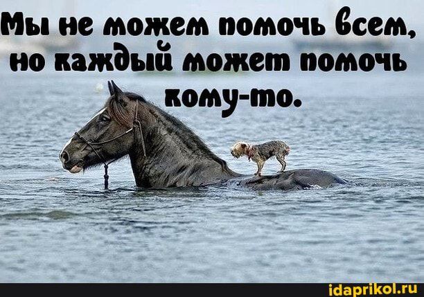 Мы не подъем помочь всем но кажды может помочь кому то