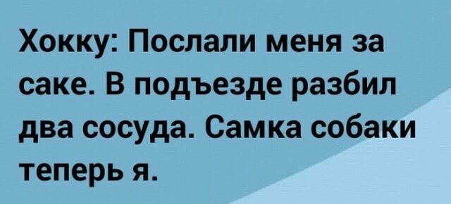 Хокку Поспали меня за саке В подъезде разбил два сосуда Самка собаки теперь я ЮМ ПЦ _