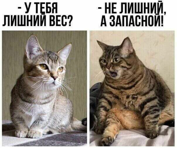 У ТЕБЯ НЕ ЛИШНИЙ ЛИШНИИ ВЕБ А ЗАПАВНПИ