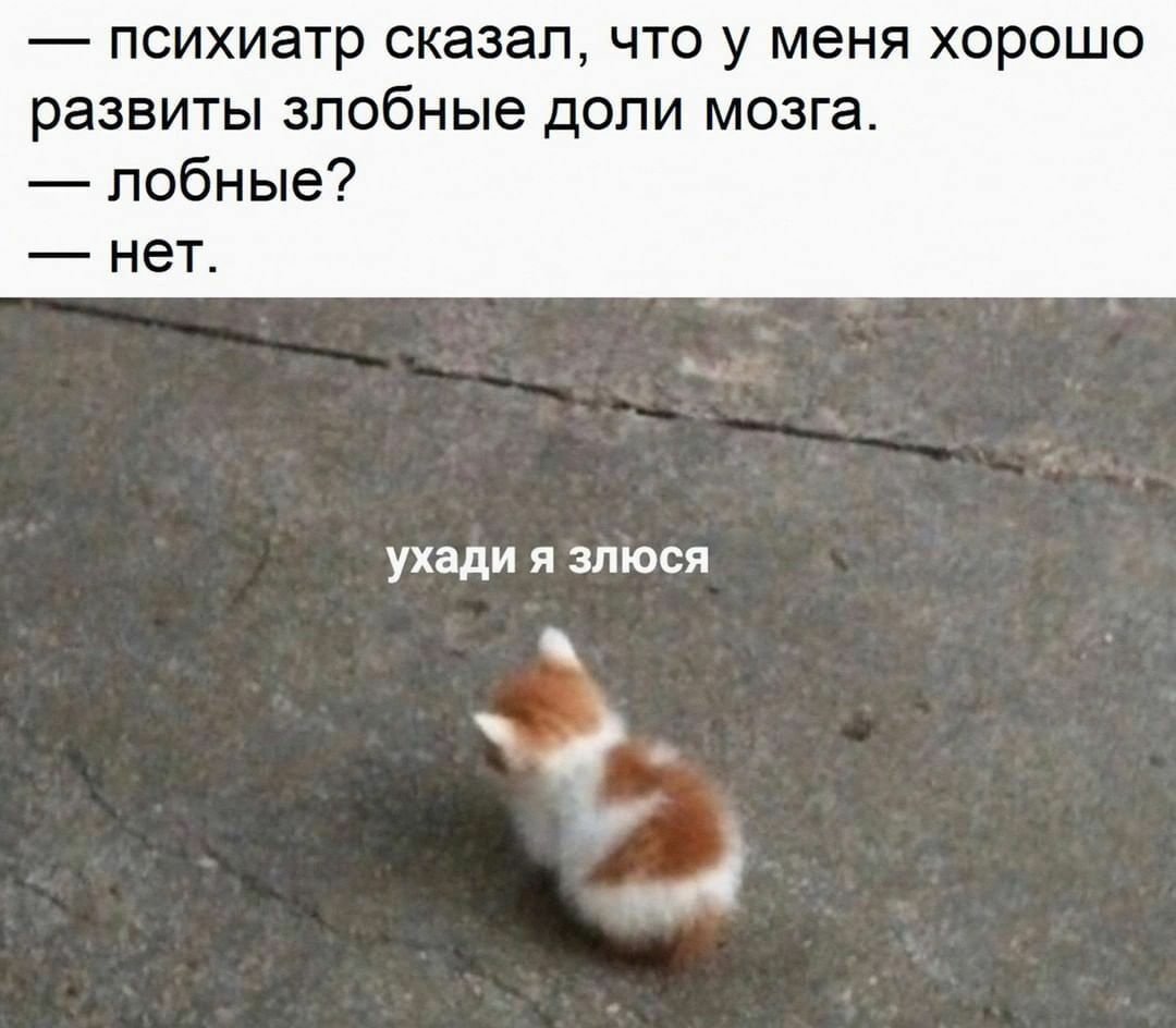 ПСИХИЗТР СКЭЗЭП ЧТО у меня ХОРОШО РЭЗВИТЫ злобные дОПИ МОЗГЗ лобные НЕТ ухади я шюся