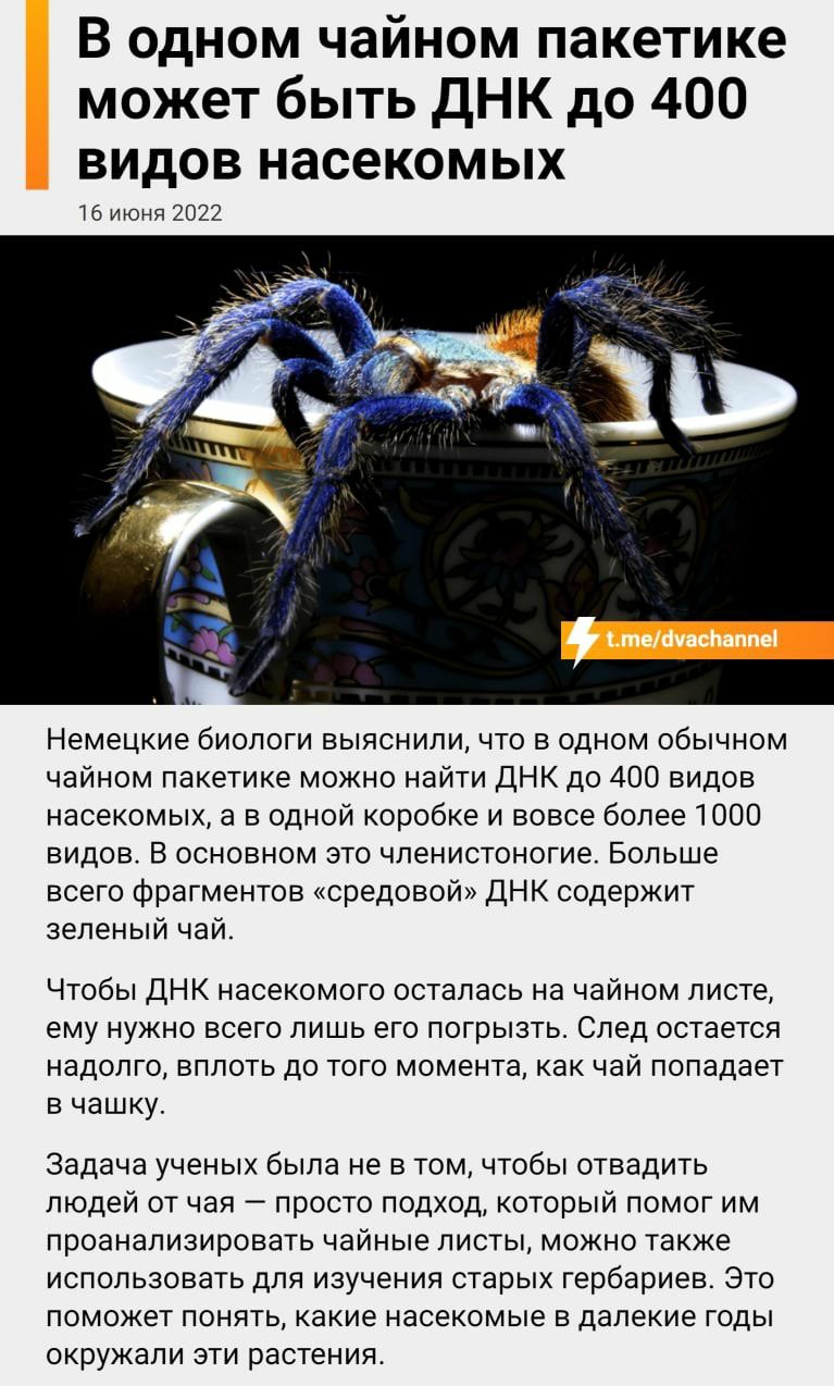 В одном чайном пакетике может быть дНК до 400 видов насекомых шин _ Немецкие биологи выяснили что в одном обычном чайном пакетике можно найти днк до 400 видов насекомых а в одной коробке и вовсе более тоо видов в основном это нлениетоногие Больше всего фрагментов ксредовой днк содержит зеленый чай Чтобы днк насекомого осталась на чайном листе ему нужно всего лишь его погрызгь След остается надопго