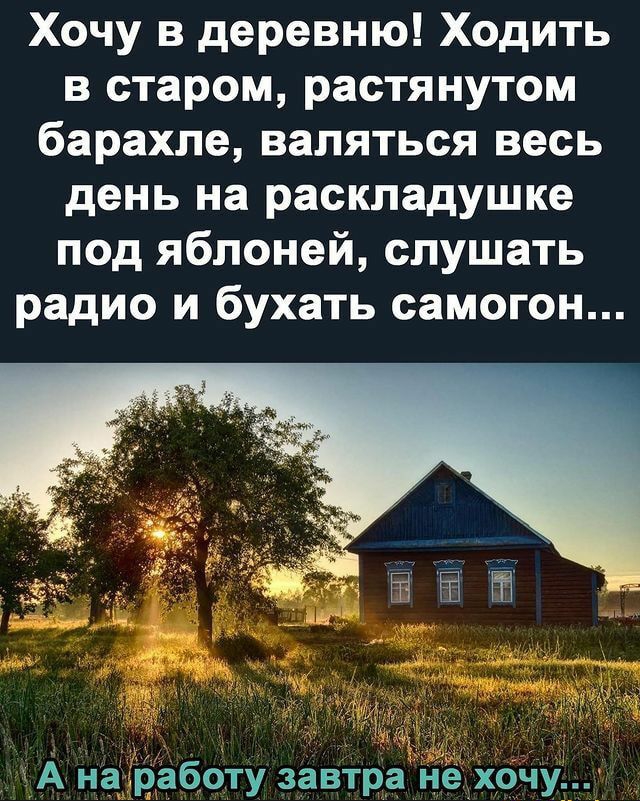 Хочу в деревню Ходить в старом растянутом барахле валяться весь день на раскладушке под яблоней слушать радио и бухать самогон А на работу завтра не хачу _