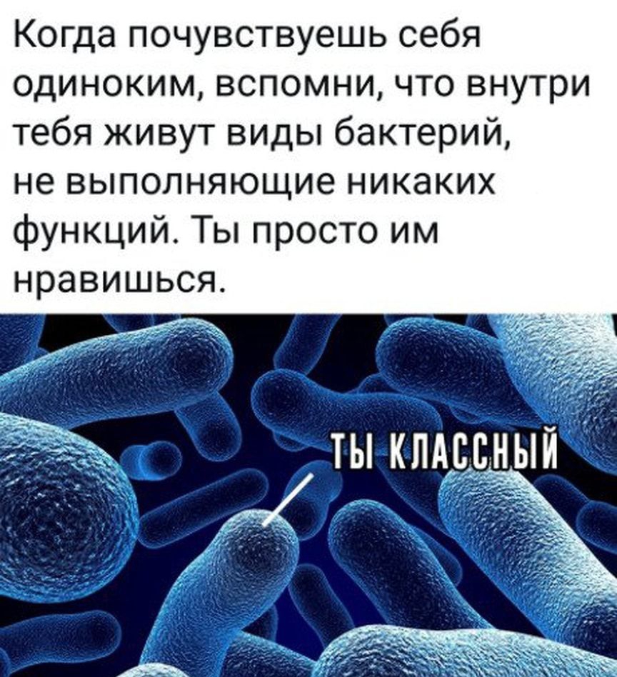 К гда почувствуешь себя одиноким вспомни что внутри тебя живут виды бактерий не выполняющие никаких функций Ты просто им нравишься ты хищный
