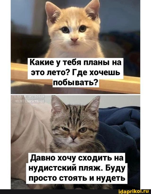 давно хочу сходить на нудистский пляж Буду просто стоять и нудеть