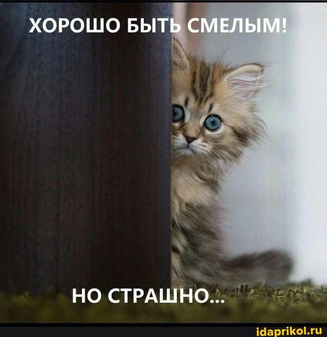 НО СТРАШНО
