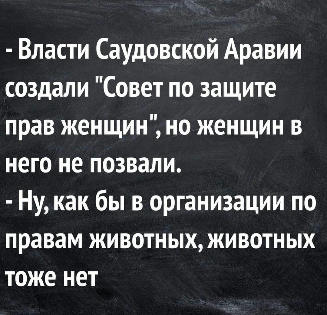 Власти Саудовской Аравии создали Совет по защите прав женщин но женщин в него не позвали Ну как бы в организации по правам животных животных тоже нет