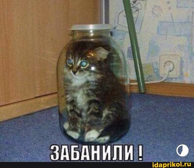 д здвднипид ЩаргіЁЫли