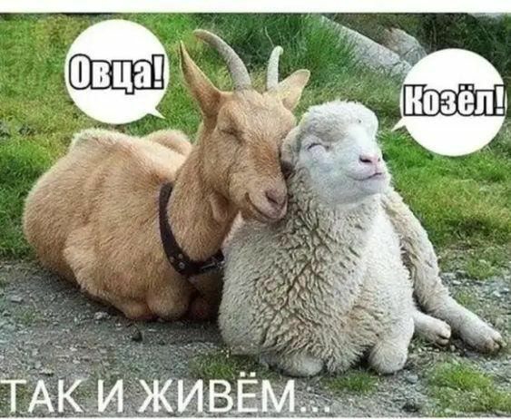 Март 0