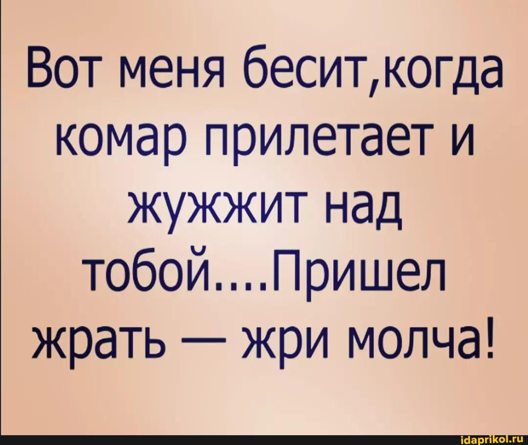 Вот меня беситкогда комар прилетает и жужжит над тобойПришел жрать жри молча