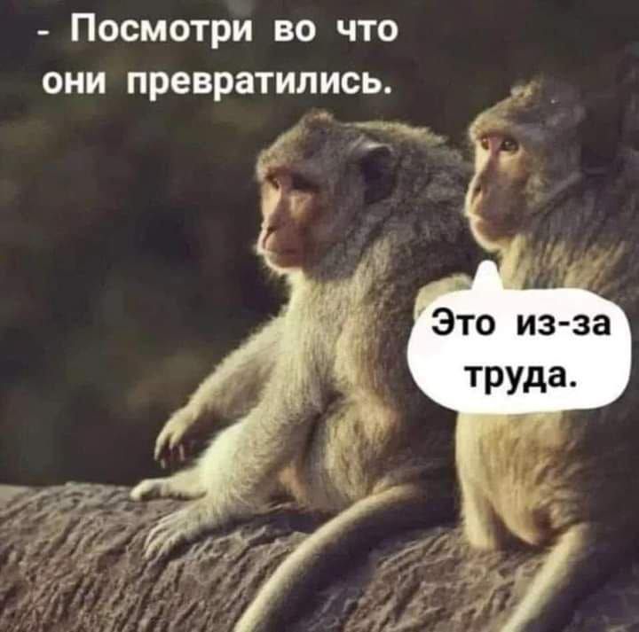 Посмотри во что они превратились