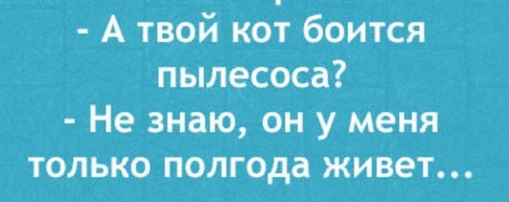 А твой кот боится пылесоса Не знаю он у меня ТОЛЬКО ПОЛГОДВ ЖИВЭТ _